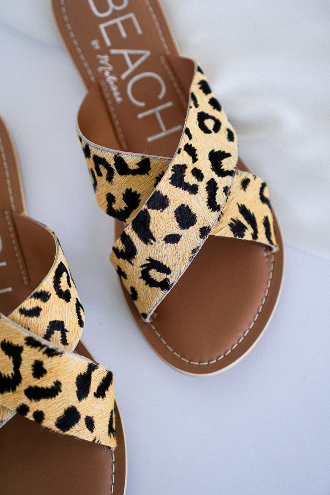 Matisse leopard store slides