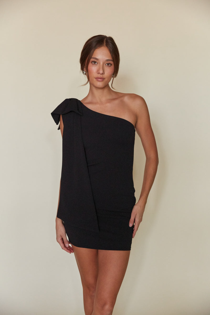 Long Sleeve Turtleneck Mini Dress Black | ÉTERNE